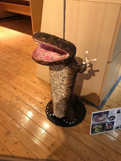 画像の説明 画像の説明